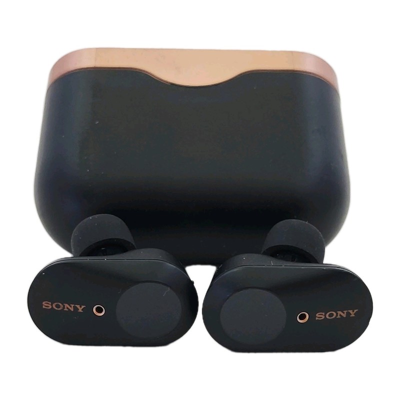 Sony True Wireless Noise Cancelling In-Ear Headphones Tested Working gallery
