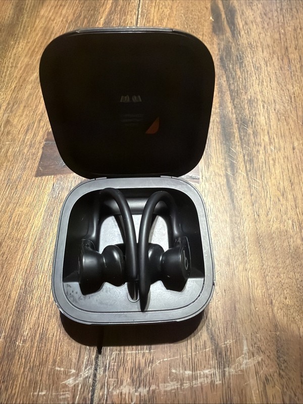 Beats by Dr. Dre Powerbeats Pro In-Ear Wireless Earphones - Black (MY582LL/A) gallery