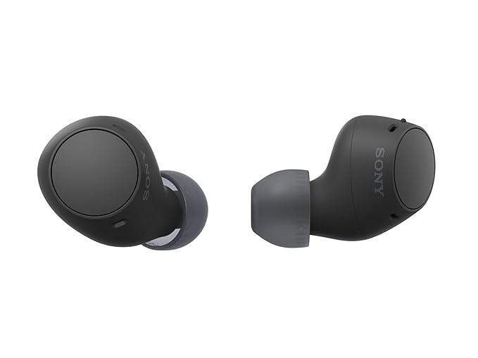 Sony WF-C510 Wireless Bluetooth Earbuds with Mic, TWS, Multipoint Connectivity