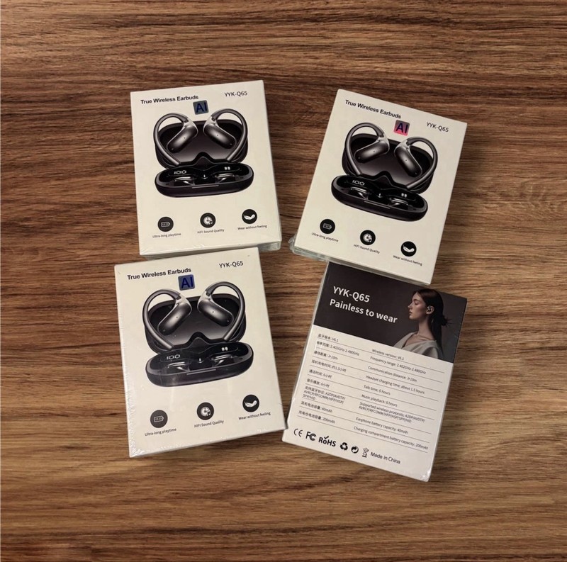 YYK-Q16S Open-Ear True Wireless Bluetooth Ear-Hook Earbuds w/ Case Black gallery