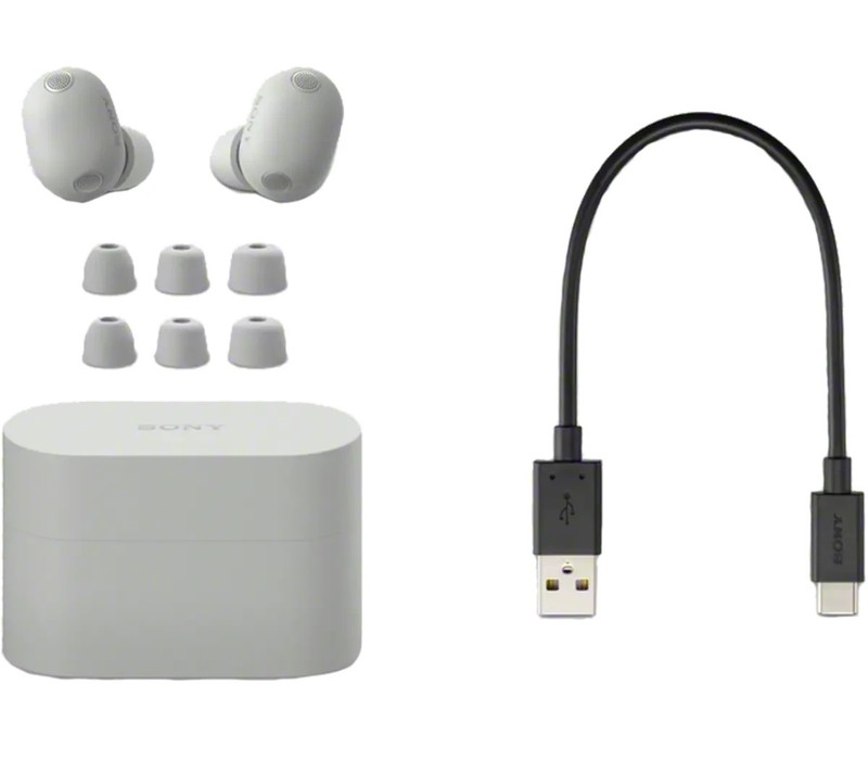 Sony WF-1000XM6 Wireless Bluetooth Noise Cancelling Earbuds (Platinum Silver) gallery