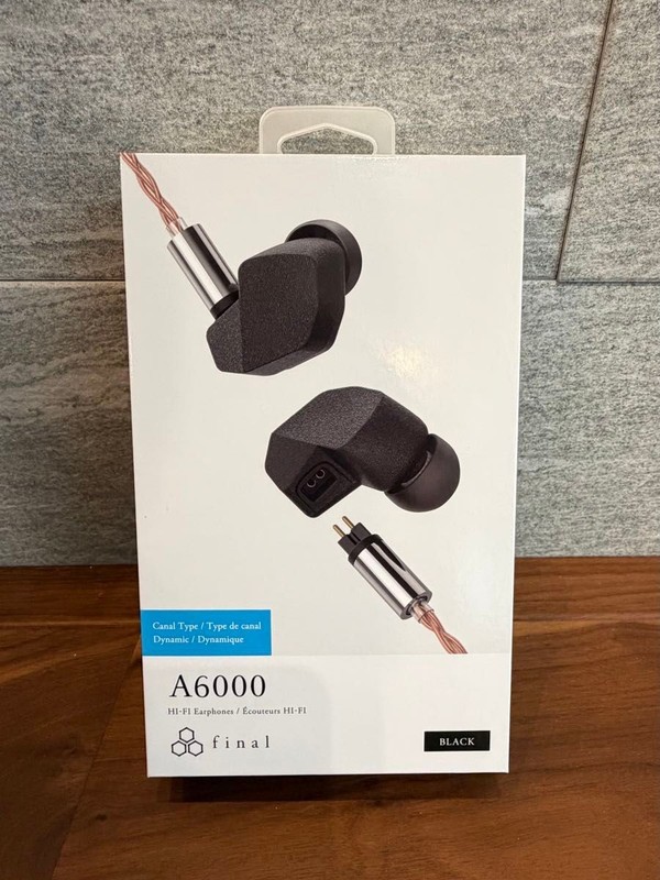 Final Audio A6000 IEM Earphones High Precision Black NEW