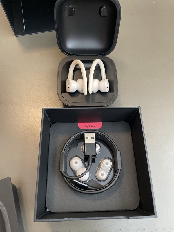 Powerbeats Pro Ivory (White)