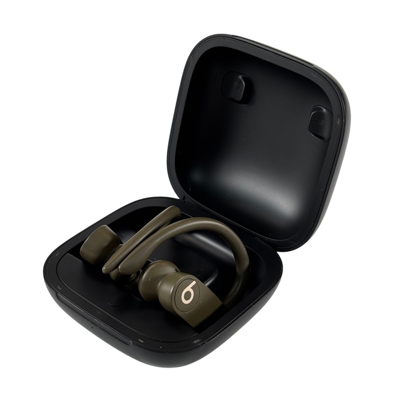 Beats by Dr. Dre Powerbeats Pro A2048 Lightning Bluetooth True Wireless Earbuds
