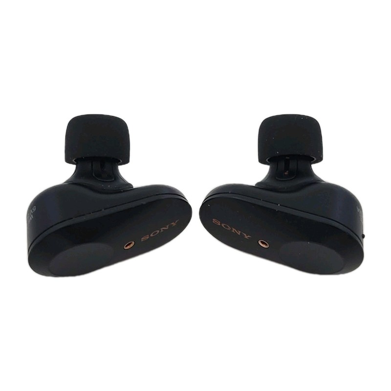 Sony True Wireless Noise Cancelling In-Ear Headphones Tested Working gallery