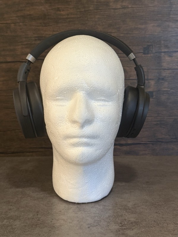 Sennheiser HD 450BT Noise-Cancelling Wireless Bluetooth Headphones (Black) gallery
