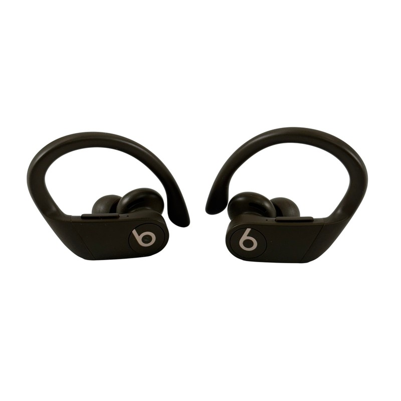 Beats by Dr. Dre Powerbeats Pro A2048 Lightning Bluetooth True Wireless Earbuds gallery