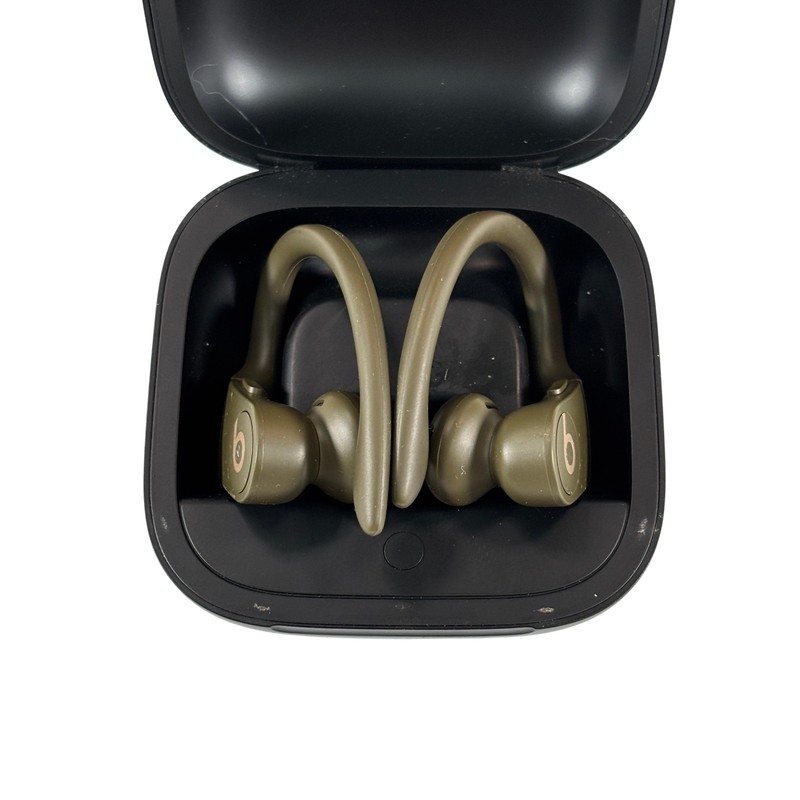 Beats by Dr. Dre Powerbeats Pro A2048 Lightning Bluetooth True Wireless Earbuds gallery