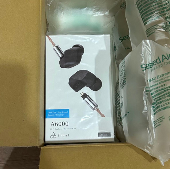 Final Audio A6000 High-Precision In-Ear Earphones Earbuds IEM Headphones NEW JP