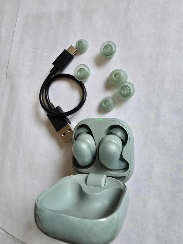 Sony - LinkBuds Fit True Wireless Noise Canceling Earbuds-Sage Green gallery