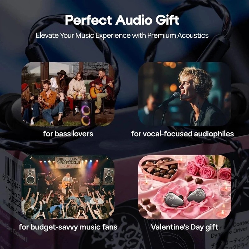 Kiwi Ears Cadenza II 10mm Titanium Driver in Ear Monitor, HiFi Wired IEM Earp... gallery