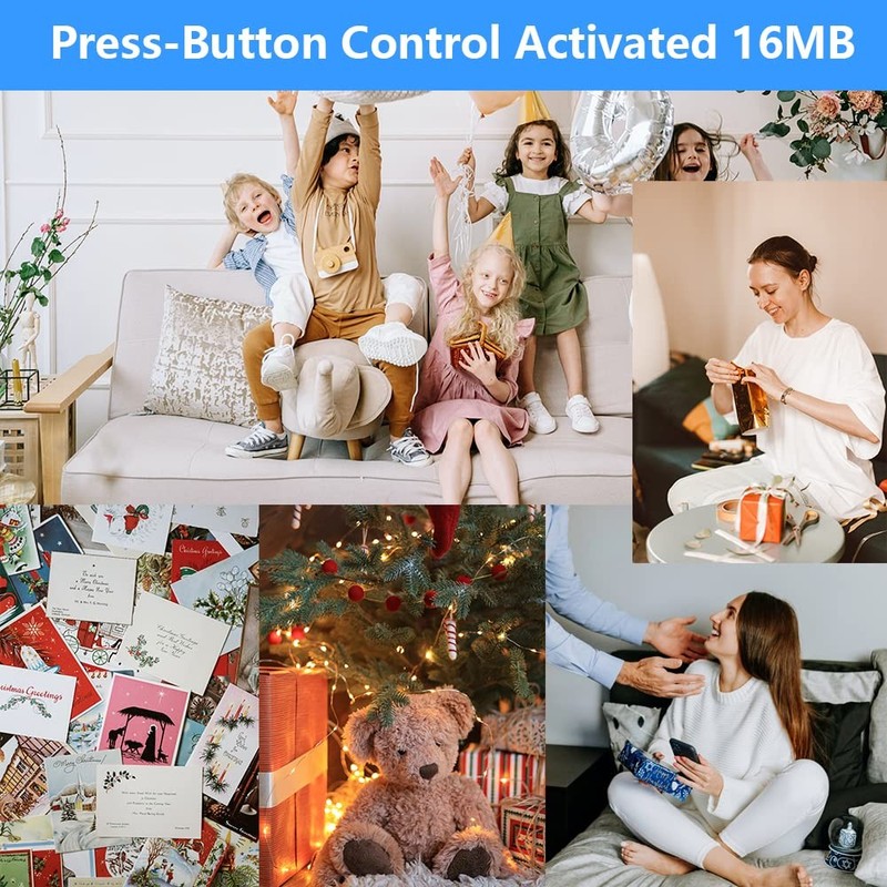 Module - 16MB Push Button Activated Sound Module with Speaker, Type-C Cable, ... gallery