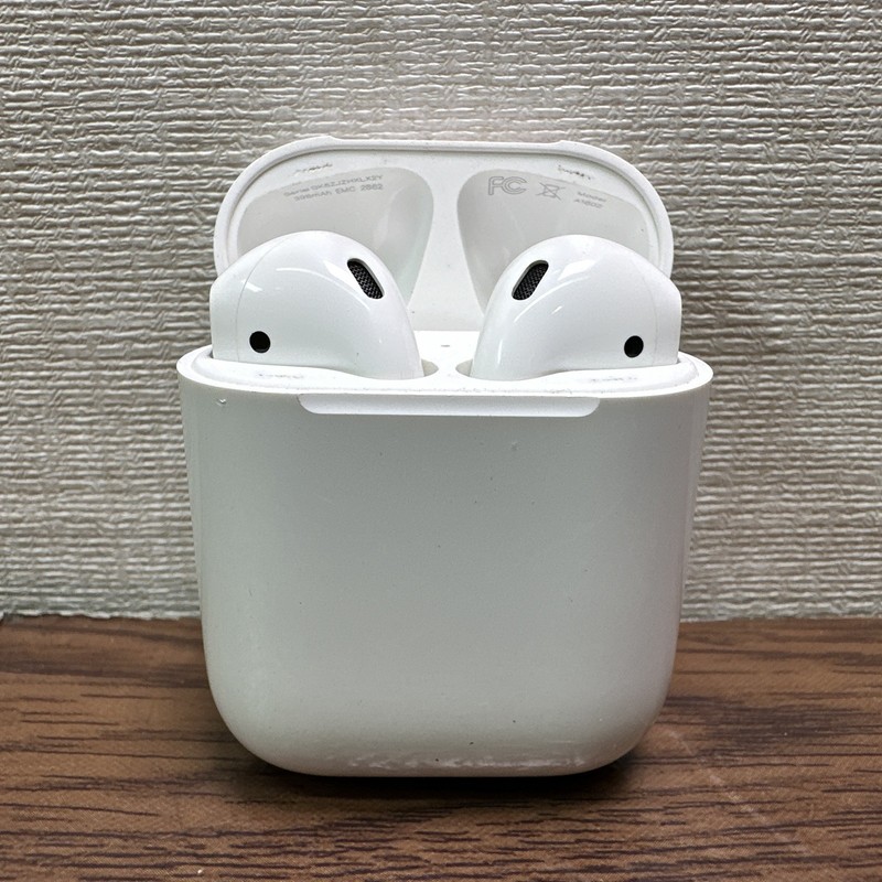 Apple AirPods 2nd Generation with Charging Case A1602 / READ