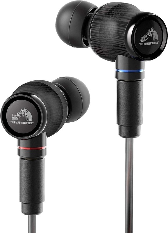 Victor JVC HA-FW1500 WOOD Series Sealed Earphone Re-cable High-Res Supported NEW